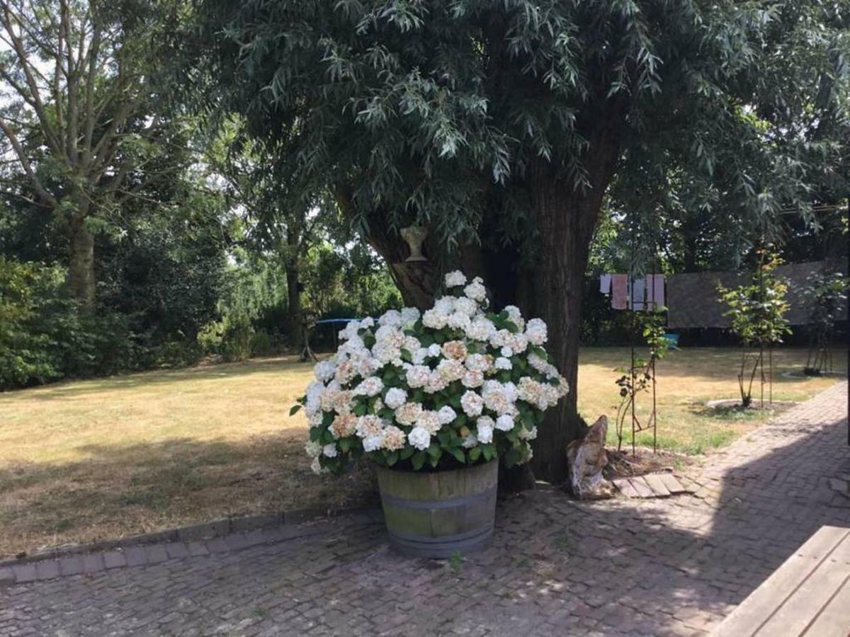Royale Bovenwoning Villa Vlake Kültér fotó